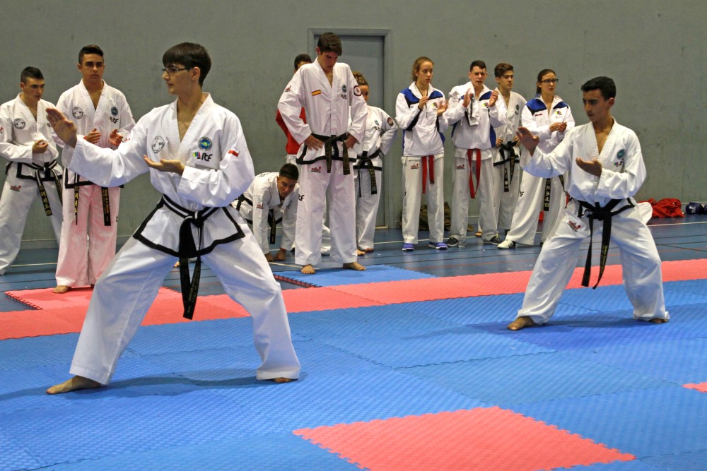 III Copa Seúl (137).jpg
